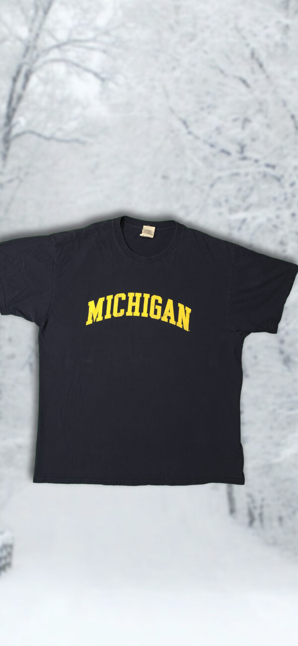 Michigan State t-shirt